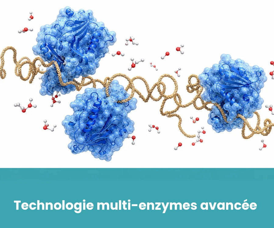 Méthode multi-enzymes