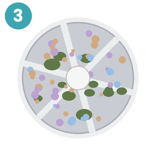 Étape 3