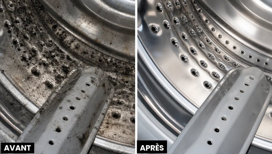 Moisissures avant et après