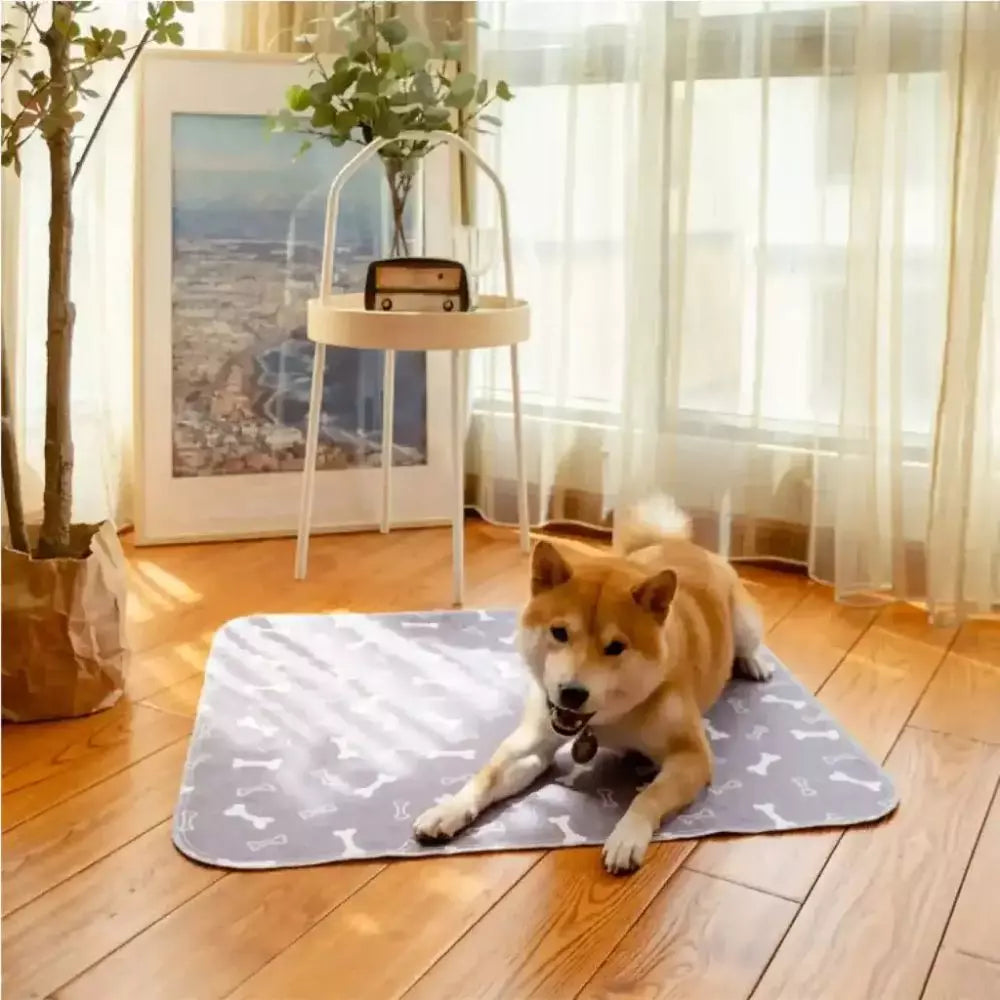 PurePad – tapis hygiénique, absorbant et lavable pour chiens et chiots