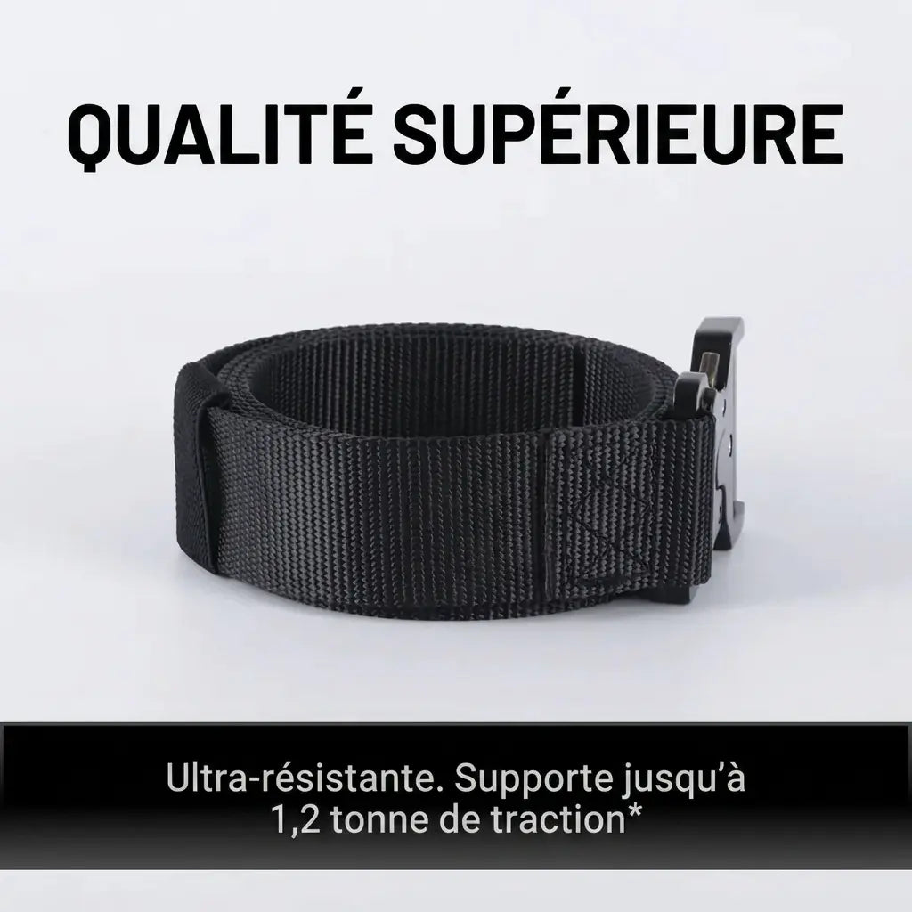 Ceinture Cosylane