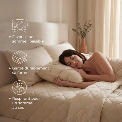 Oreiller DreamCloud – Hypoallergénique Premium