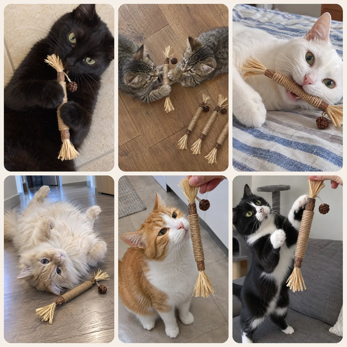 CatStick Matatabi-Kaustangen
