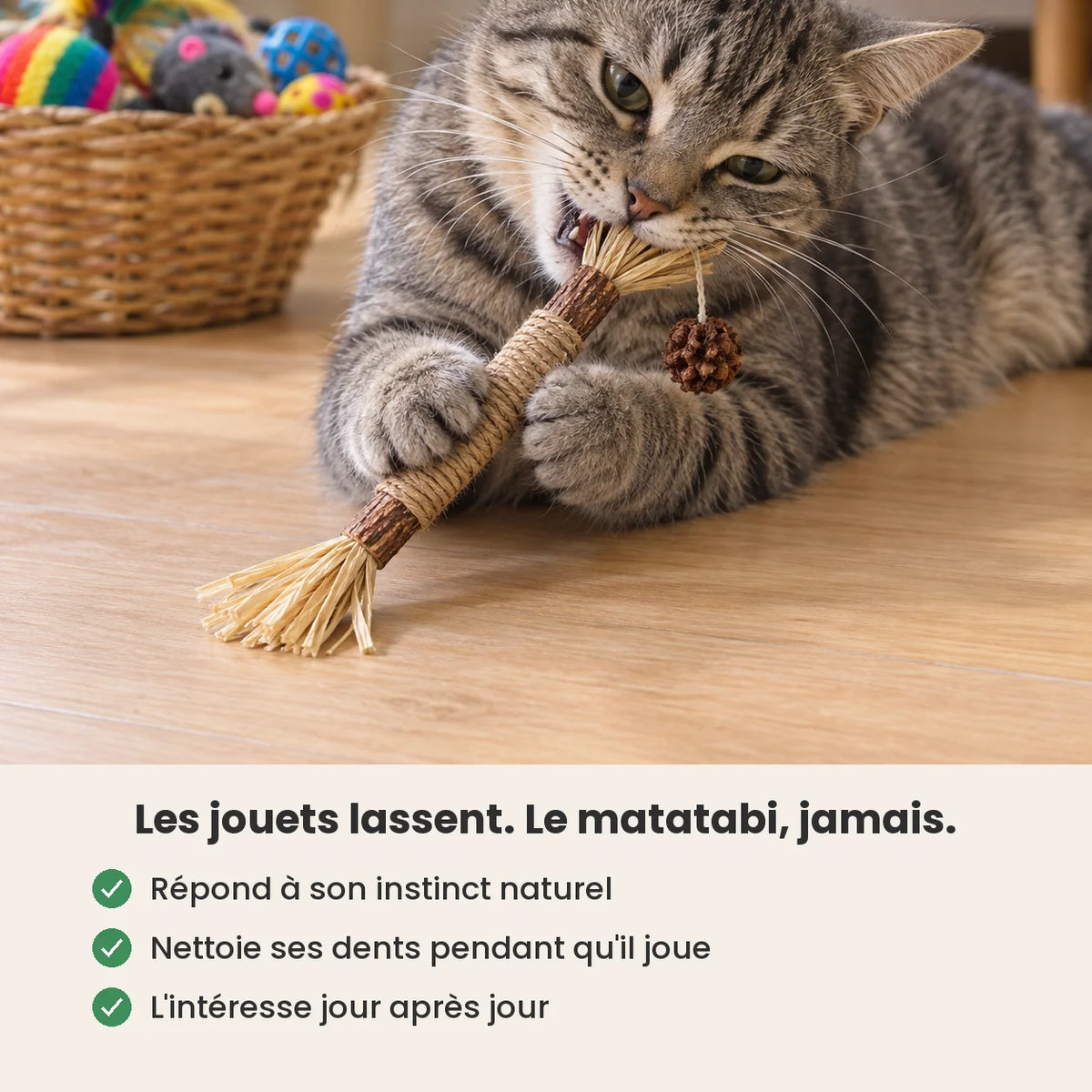 CatStick Matatabi-Kaustangen