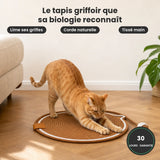 CatPad