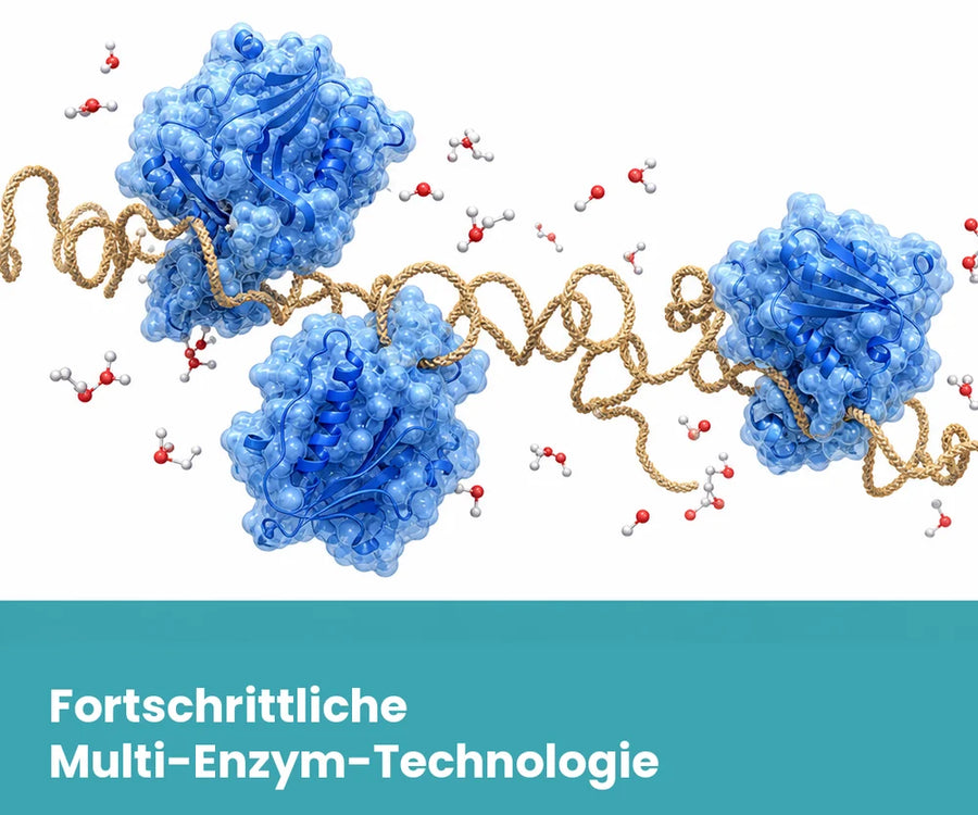 Méthode multi-enzymes