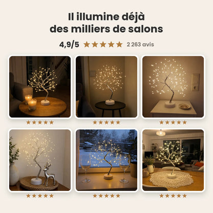 Kamio arbre lumineux