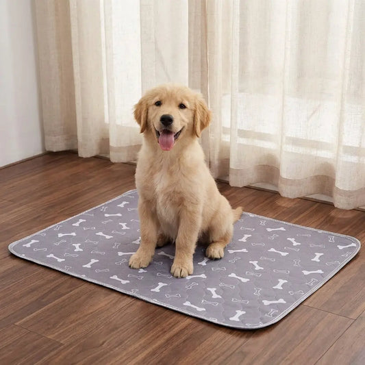 PurePad – Le seul tapis de propreté dont ton chien aura besoin