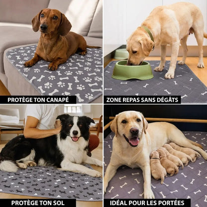 PurePad – Le seul tapis de propreté dont ton chien aura besoin