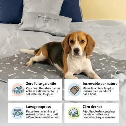 PurePad – Le seul tapis de propreté dont ton chien aura besoin